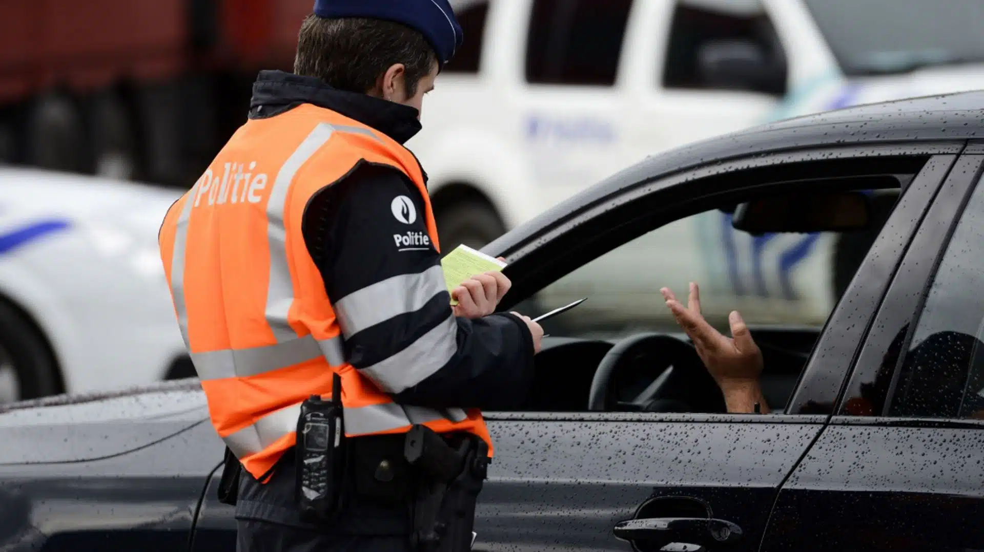 immatriculation suspendue