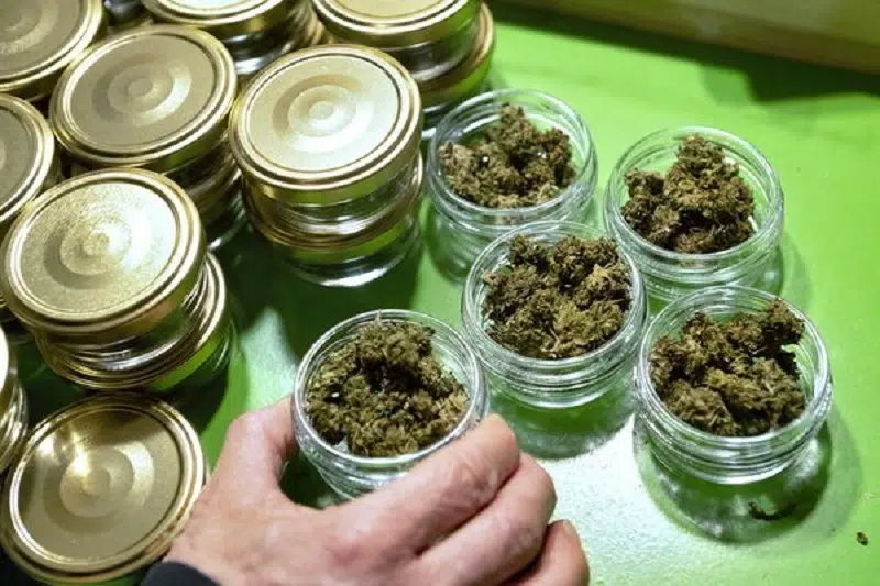 Pourquoi CBD légal