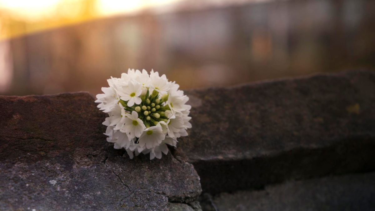 Créez une atmosphère apaisante avec des fleurs en céramique pour une plaque funéraire